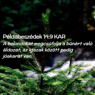 Picture 02 - Példabeszédek 14:9 KAR - A bolondokat megcsúfolja a bûnért való - Bible Verse Picture