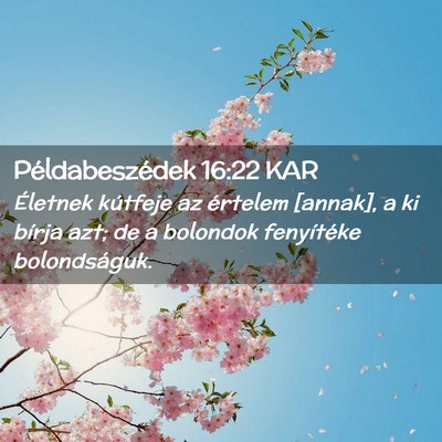 Picture 02 - Példabeszédek 16:22 KAR - Életnek kútfeje az értelem [annak], a ki - Bible Verse Picture