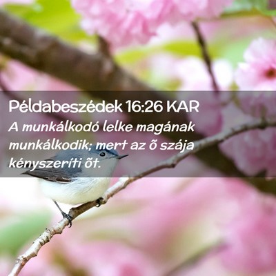 Picture 02 - Példabeszédek 16:26 KAR - A munkálkodó lelke magának munkálkodik; mert - Bible Verse Picture