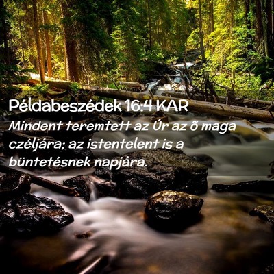 Picture 02 - Példabeszédek 16:4 KAR - Mindent teremtett az Úr az õ maga czéljára; - Bible Verse Picture