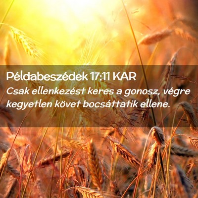 Picture 02 - Példabeszédek 17:11 KAR - Csak ellenkezést keres a gonosz, végre - Bible Verse Picture