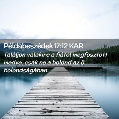 Picture 02 - Példabeszédek 17:12 KAR - Találjon valakire a fiától megfosztott medve, - Bible Verse Picture