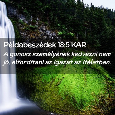 Picture 02 - Példabeszédek 18:5 KAR - A gonosz személyének kedvezni nem jó, - Bible Verse Picture