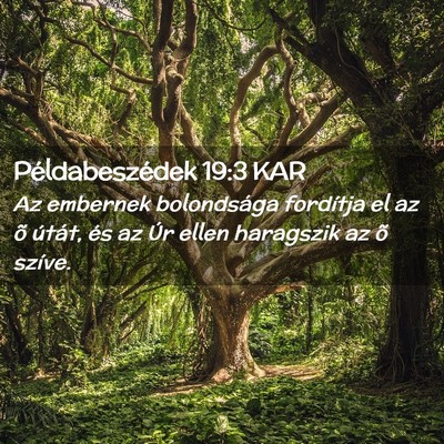 Picture 02 - Példabeszédek 19:3 KAR - Az embernek bolondsága fordítja el az õ - Bible Verse Picture