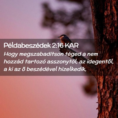 Picture 02 - Példabeszédek 2:16 KAR - Hogy megszabadítson téged a nem hozzád - Bible Verse Picture