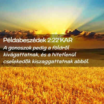 Picture 02 - Példabeszédek 2:22 KAR - A gonoszok pedig a földrõl kivágattatnak, és - Bible Verse Picture