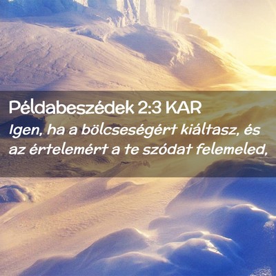 Picture 02 - Példabeszédek 2:3 KAR - Igen, ha a bölcseségért kiáltasz, és az - Bible Verse Picture