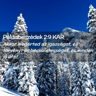 Picture 02 - Példabeszédek 2:9 KAR - Akkor megérted az igazságot, és törvényt és - Bible Verse Picture