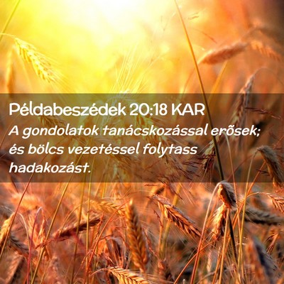 Picture 02 - Példabeszédek 20:18 KAR - A gondolatok tanácskozással erõsek; és bölcs - Bible Verse Picture
