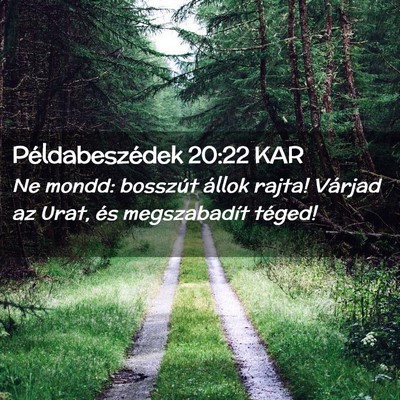 Picture 02 - Példabeszédek 20:22 KAR - Ne mondd: bosszút állok rajta! Várjad az Urat, - Bible Verse Picture