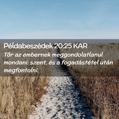Picture 02 - Példabeszédek 20:25 KAR - Tõr az embernek meggondolatlanul mondani: szent, - Bible Verse Picture