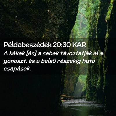 Picture 02 - Példabeszédek 20:30 KAR - A kékek [és] a sebek távoztatják el a - Bible Verse Picture