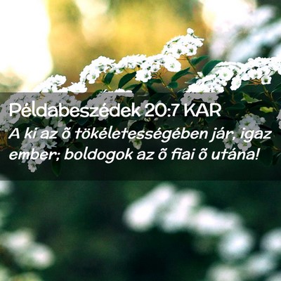Picture 02 - Példabeszédek 20:7 KAR - A ki az õ tökéletességében jár, igaz ember; - Bible Verse Picture