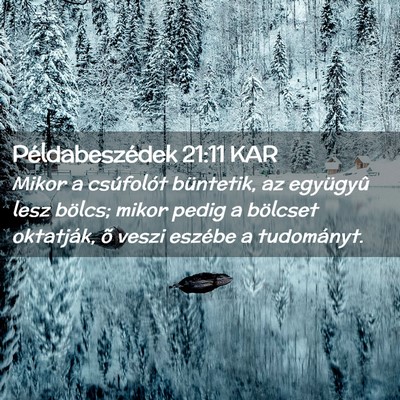 Picture 02 - Példabeszédek 21:11 KAR - Mikor a csúfolót büntetik, az együgyû lesz - Bible Verse Picture