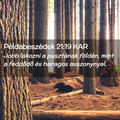Picture 02 - Példabeszédek 21:19 KAR - Jobb lakozni a pusztának földén, mint a - Bible Verse Picture