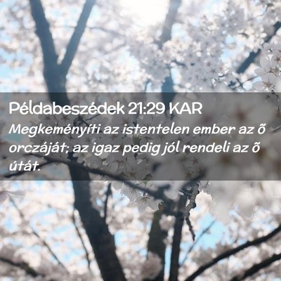 Picture 02 - Példabeszédek 21:29 KAR - Megkeményíti az istentelen ember az õ - Bible Verse Picture