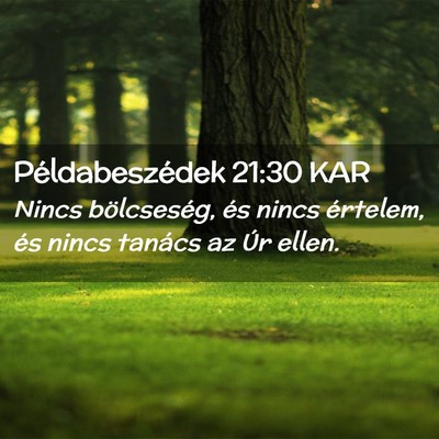Picture 02 - Példabeszédek 21:30 KAR - Nincs bölcseség, és nincs értelem, és nincs - Bible Verse Picture
