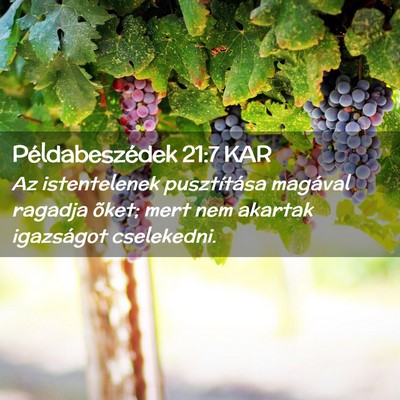 Picture 02 - Példabeszédek 21:7 KAR - Az istentelenek pusztítása magával ragadja - Bible Verse Picture
