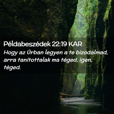 Picture 02 - Példabeszédek 22:19 KAR - Hogy az Úrban legyen a te bizodalmad, arra - Bible Verse Picture