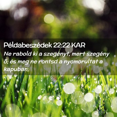 Picture 02 - Példabeszédek 22:22 KAR - Ne rabold ki a szegényt, mert szegény õ; és - Bible Verse Picture
