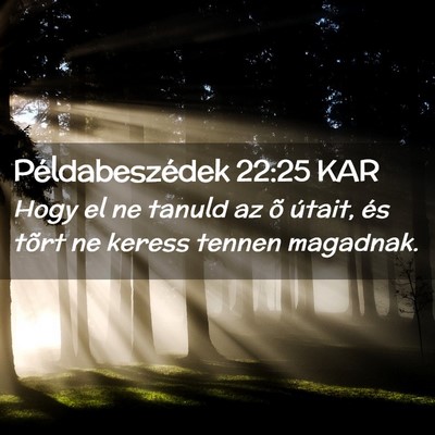 Picture 02 - Példabeszédek 22:25 KAR - Hogy el ne tanuld az õ útait, és tõrt ne - Bible Verse Picture