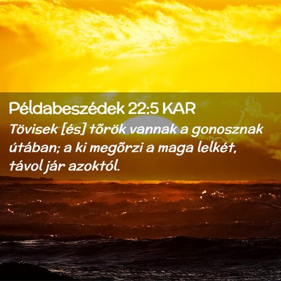 Picture 02 - Példabeszédek 22:5 KAR - Tövisek [és] tõrök vannak a gonosznak - Bible Verse Picture