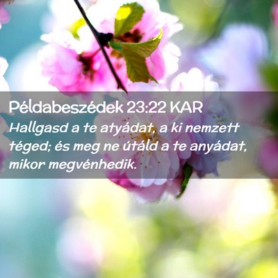 Picture 02 - Példabeszédek 23:22 KAR - Hallgasd a te atyádat, a ki nemzett téged; és - Bible Verse Picture