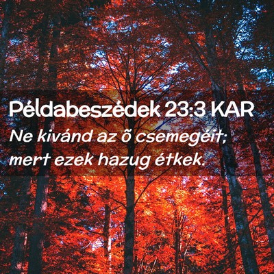 Picture 02 - Példabeszédek 23:3 KAR - Ne kivánd az õ csemegéit; mert ezek hazug - Bible Verse Picture