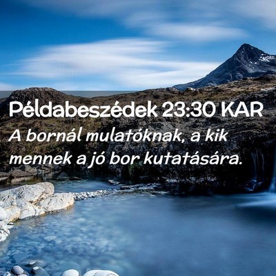 Picture 02 - Példabeszédek 23:30 KAR - A bornál mulatóknak, a kik mennek a jó bor - Bible Verse Picture