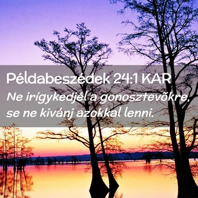Picture 02 - Példabeszédek 24:1 KAR - Ne irígykedjél a gonosztevõkre, se ne kivánj - Bible Verse Picture