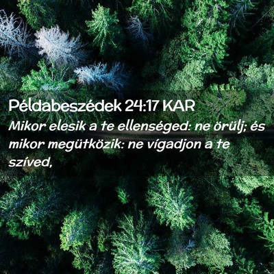 Picture 02 - Példabeszédek 24:17 KAR - Mikor elesik a te ellenséged: ne örülj; és - Bible Verse Picture