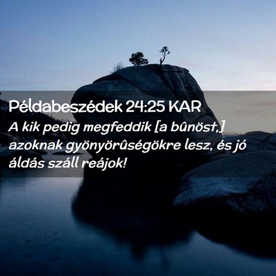 Picture 02 - Példabeszédek 24:25 KAR - A kik pedig megfeddik [a bûnöst,] azoknak - Bible Verse Picture