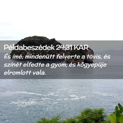 Picture 02 - Példabeszédek 24:31 KAR - És ímé, mindenütt felverte a tövis, és - Bible Verse Picture