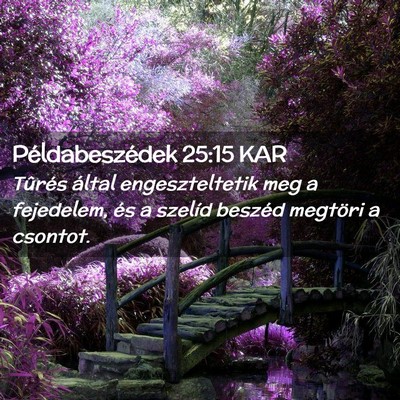 Picture 02 - Példabeszédek 25:15 KAR - Tûrés által engeszteltetik meg a fejedelem, - Bible Verse Picture