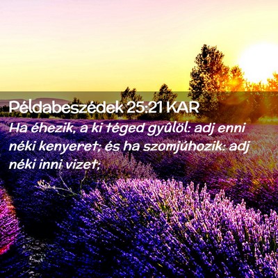 Picture 02 - Példabeszédek 25:21 KAR - Ha éhezik, a ki téged gyûlöl: adj enni néki - Bible Verse Picture