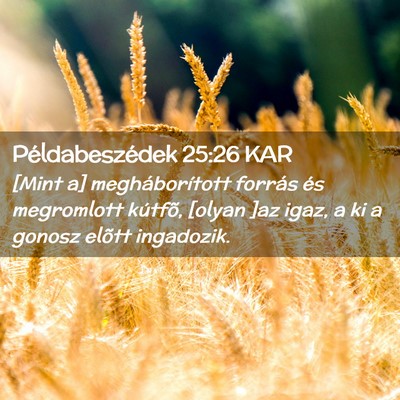 Picture 02 - Példabeszédek 25:26 KAR - [Mint a] megháborított forrás és megromlott - Bible Verse Picture
