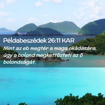 Picture 02 - Példabeszédek 26:11 KAR - Mint az eb megtér a maga okádására, úgy a - Bible Verse Picture
