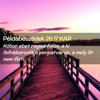Picture 02 - Példabeszédek 26:17 KAR - Kóbor ebet ragad fülön, a ki felháborodik a - Bible Verse Picture