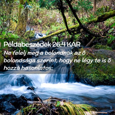 Picture 02 - Példabeszédek 26:4 KAR - Ne felelj meg a bolondnak az õ bolondsága - Bible Verse Picture