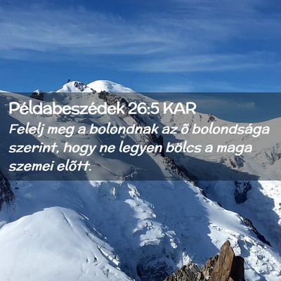 Picture 02 - Példabeszédek 26:5 KAR - Felelj meg a bolondnak az õ bolondsága szerint, - Bible Verse Picture
