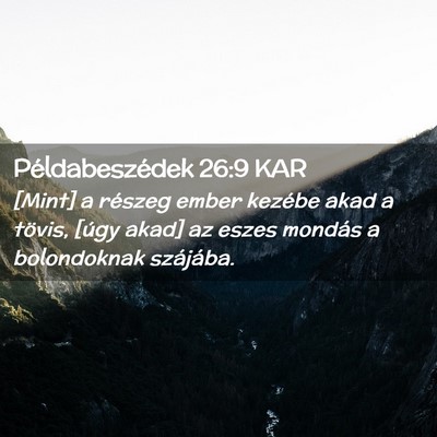 Picture 02 - Példabeszédek 26:9 KAR - [Mint] a részeg ember kezébe akad a tövis, - Bible Verse Picture