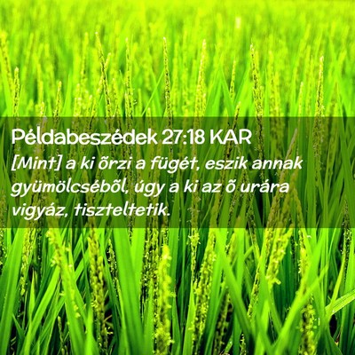 Picture 02 - Példabeszédek 27:18 KAR - [Mint] a ki õrzi a fügét, eszik annak - Bible Verse Picture
