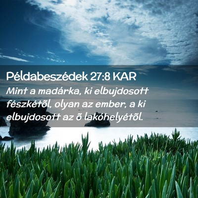 Picture 02 - Példabeszédek 27:8 KAR - Mint a madárka, ki elbujdosott fészkétõl, - Bible Verse Picture