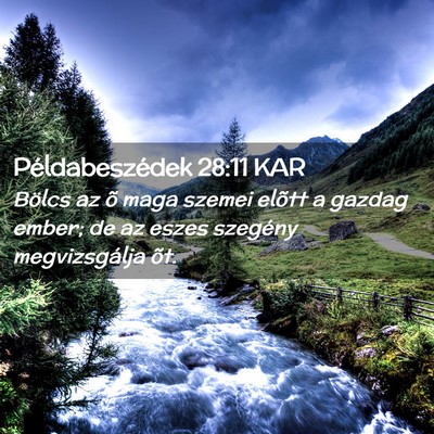 Picture 02 - Példabeszédek 28:11 KAR - Bölcs az õ maga szemei elõtt a gazdag ember; - Bible Verse Picture
