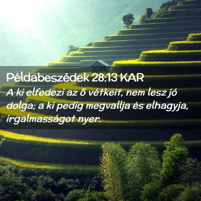Picture 02 - Példabeszédek 28:13 KAR - A ki elfedezi az õ vétkeit, nem lesz jó dolga; - Bible Verse Picture