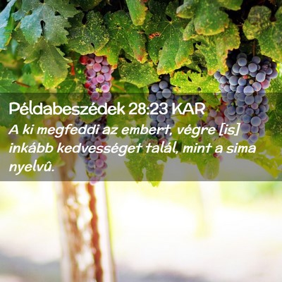 Picture 02 - Példabeszédek 28:23 KAR - A ki megfeddi az embert, végre [is] inkább - Bible Verse Picture