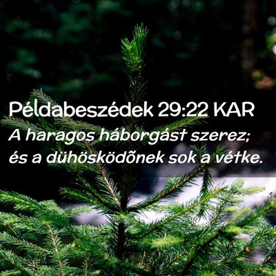 Picture 02 - Példabeszédek 29:22 KAR - A haragos háborgást szerez; és a - Bible Verse Picture