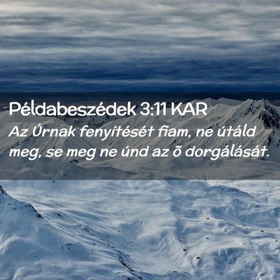 Picture 02 - Példabeszédek 3:11 KAR - Az Úrnak fenyítését fiam, ne útáld meg, se - Bible Verse Picture
