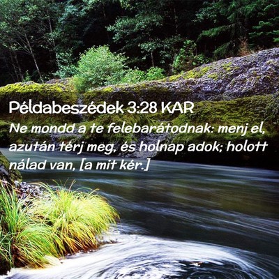 Picture 02 - Példabeszédek 3:28 KAR - Ne mondd a te felebarátodnak: menj el, azután - Bible Verse Picture
