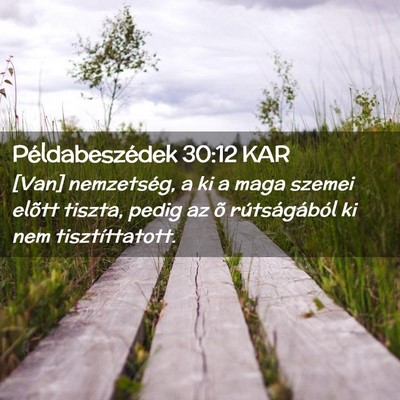 Picture 02 - Példabeszédek 30:12 KAR - [Van] nemzetség, a ki a maga szemei elõtt - Bible Verse Picture